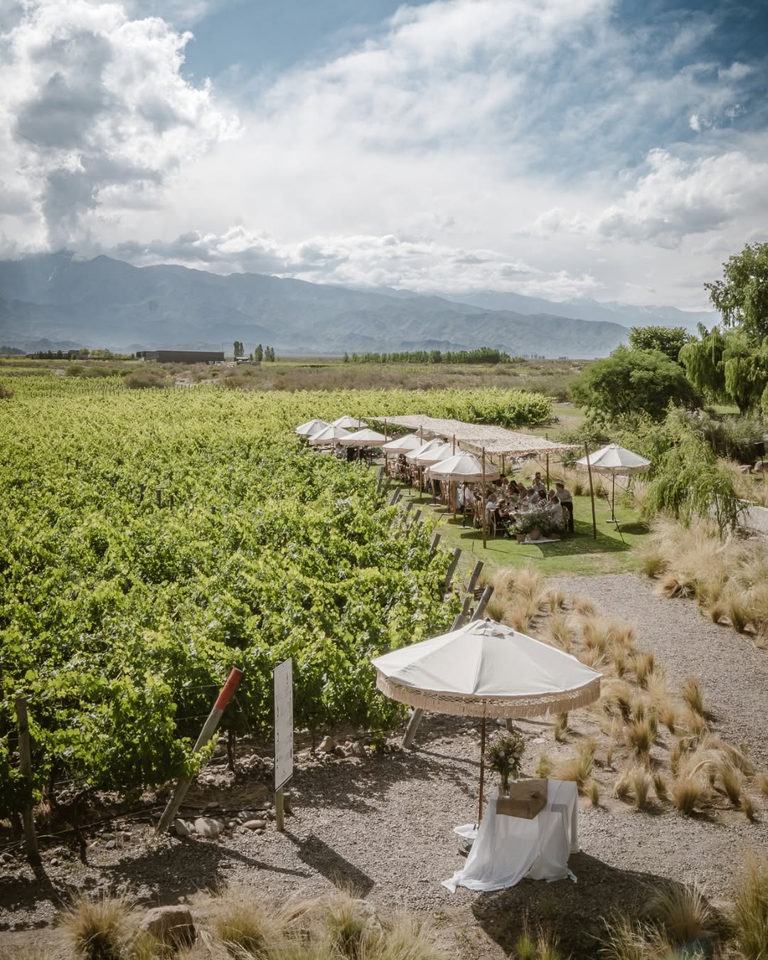 GIMENEZ RIILI BODEGAS Y VI¥EDOS - Instagram Post