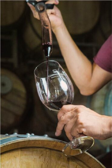 GIMENEZ RIILI BODEGAS Y VI¥EDOS