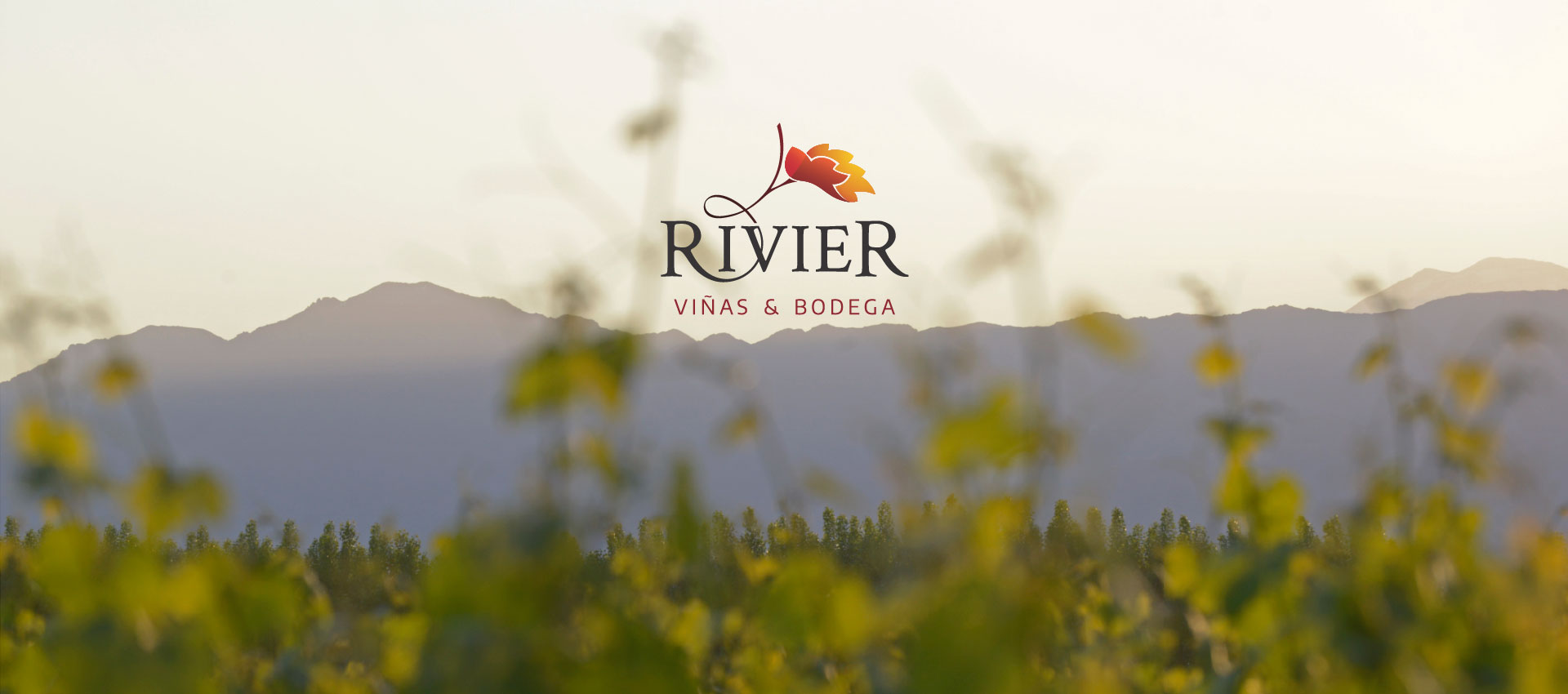 JEAN RIVIER E HIJOS