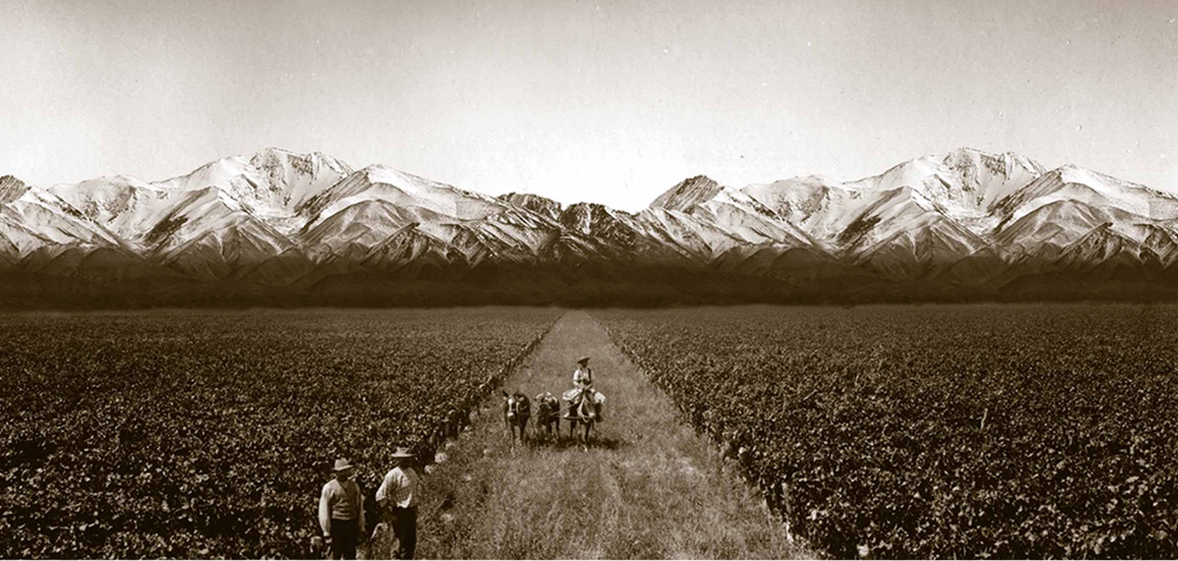 LA RURAL