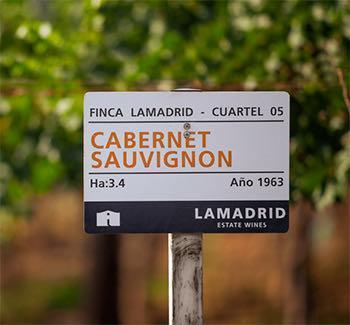 LAMADRID ESTATE WINES