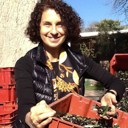 MENDEL WINES