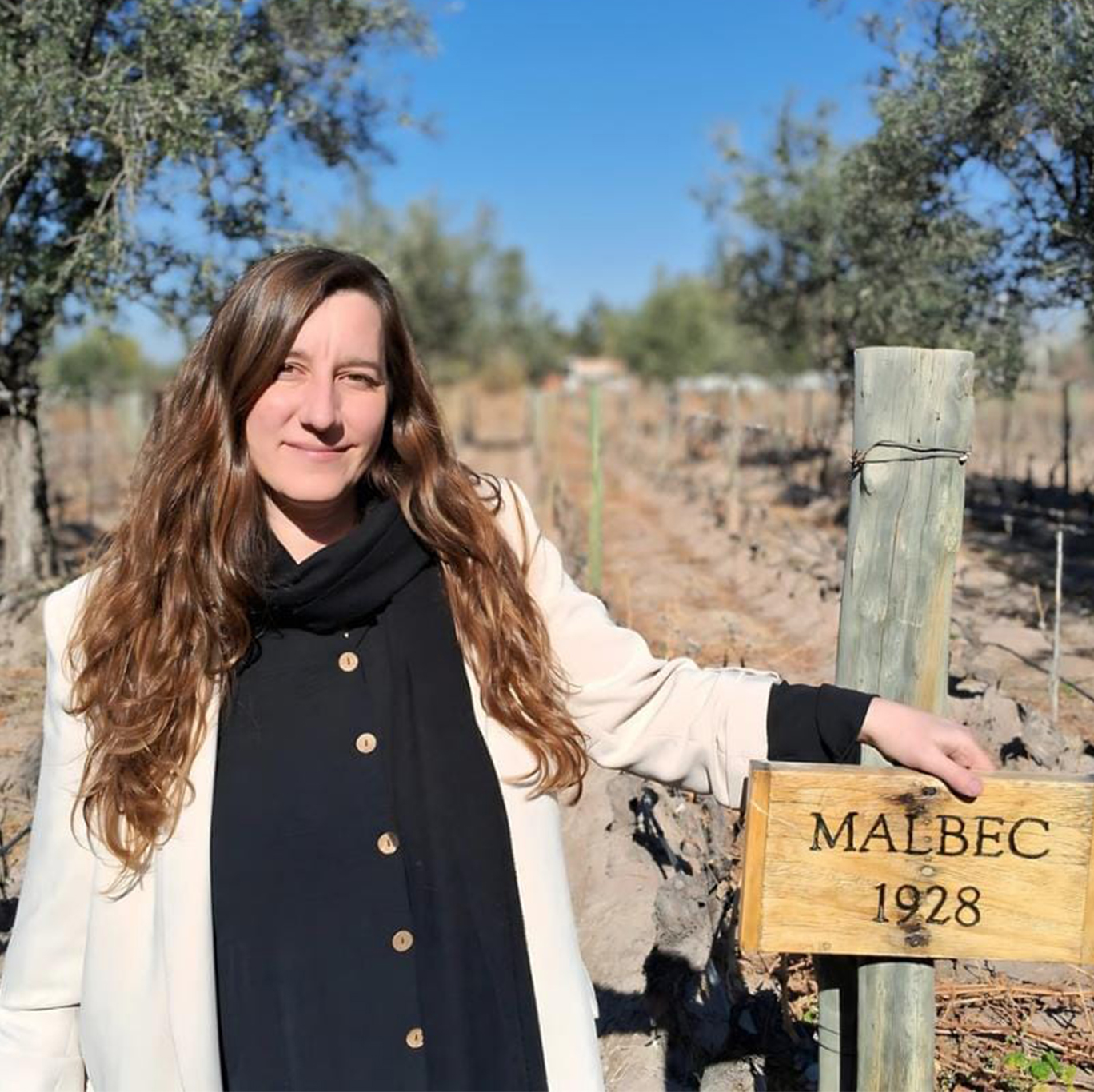 MENDEL WINES