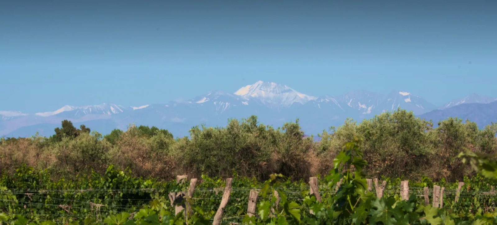 Bodega Familia Cecchin