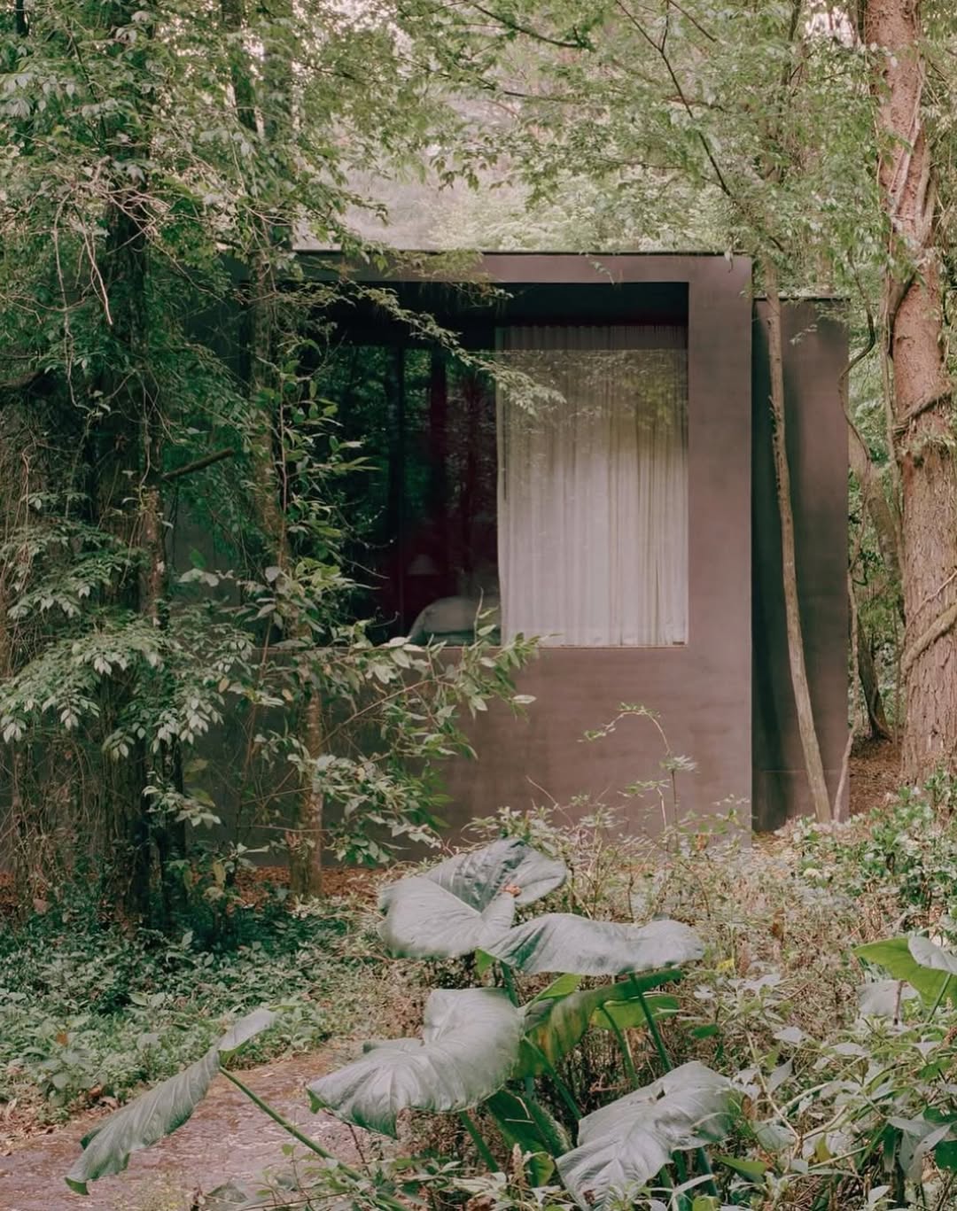 PULENTA ESTATE - Instagram Post