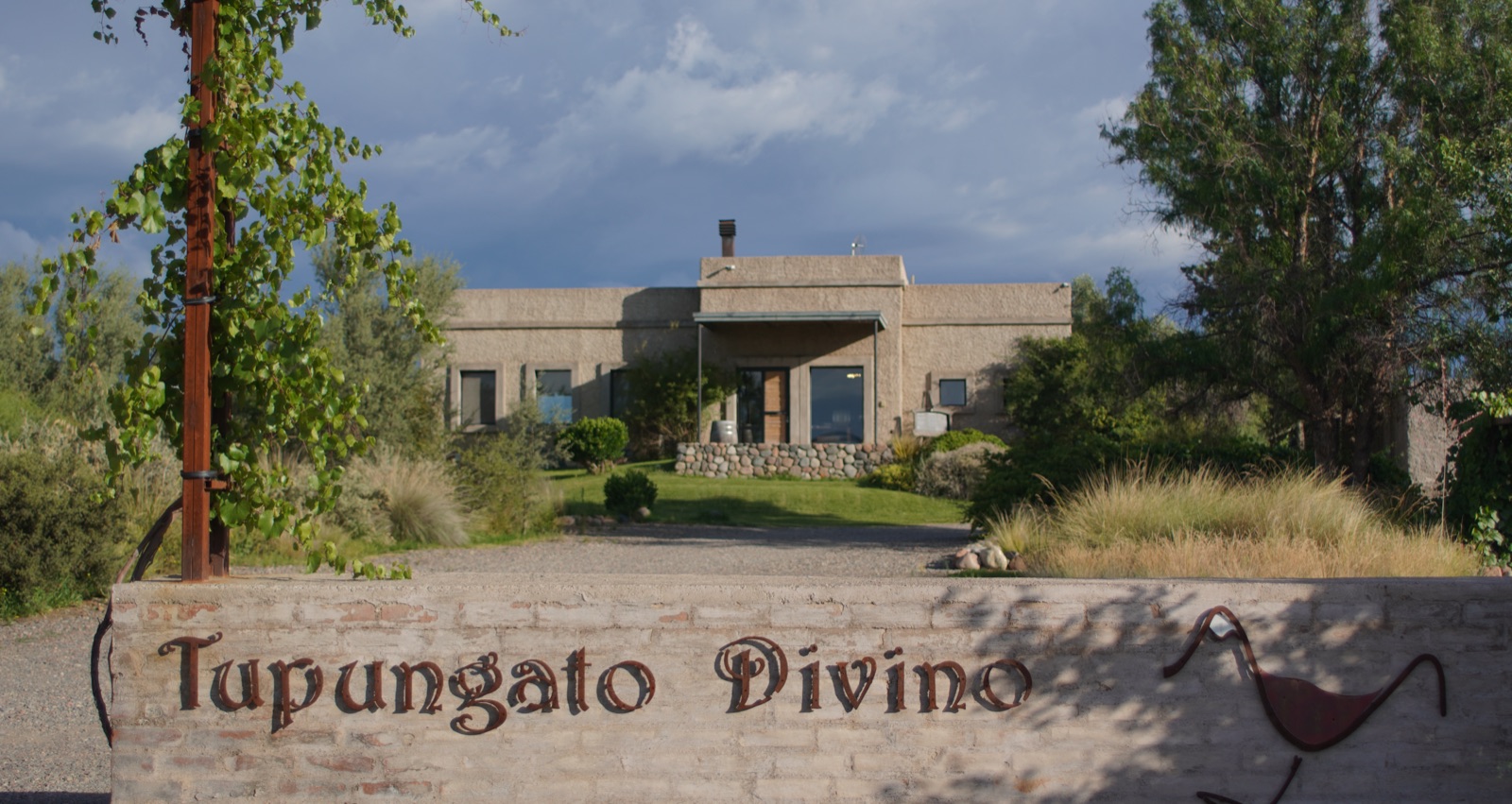 Tupungato Divino