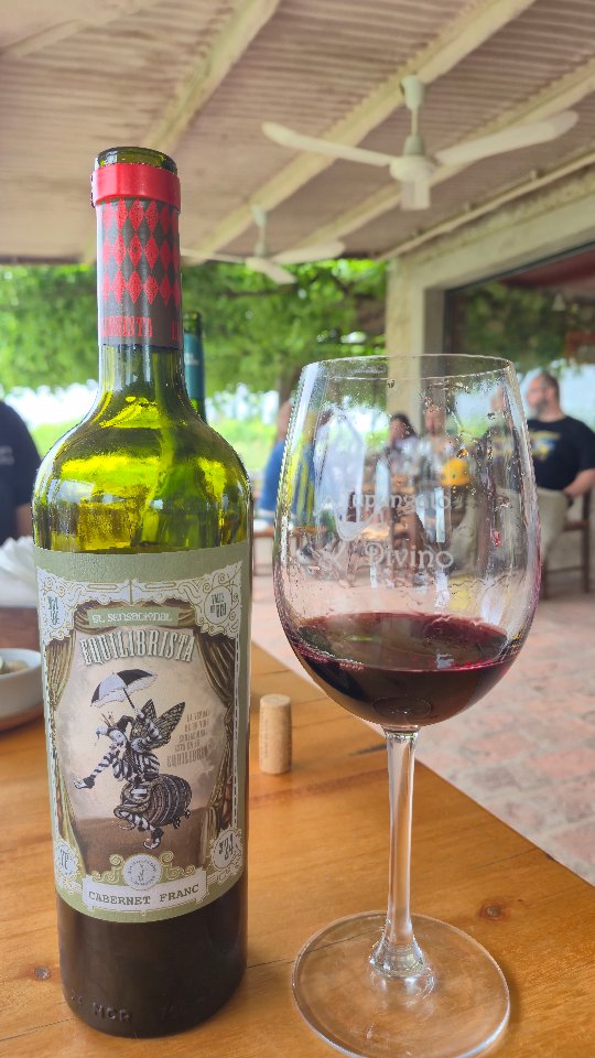 TUPUNGATO DIVINO - Instagram Post