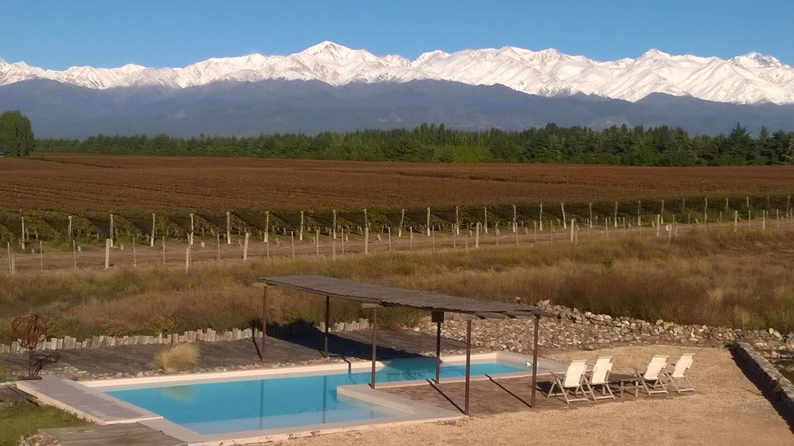 TUPUNGATO DIVINO