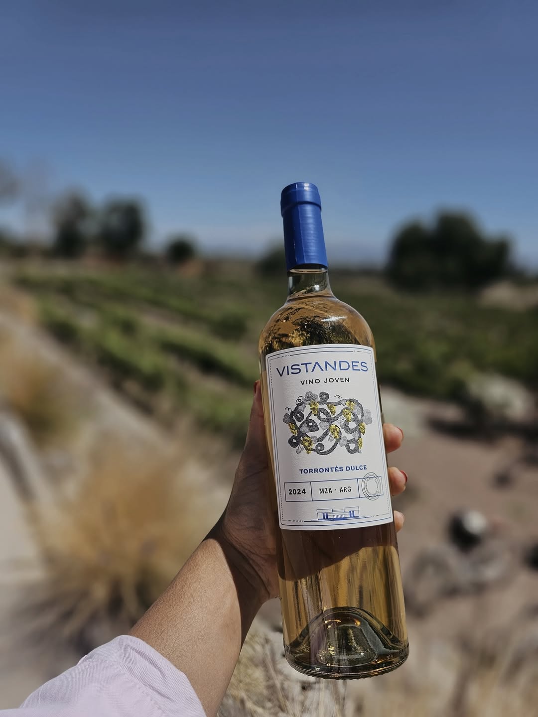 VISTANDES BODEGAS &VI¥EDOS - Instagram Post