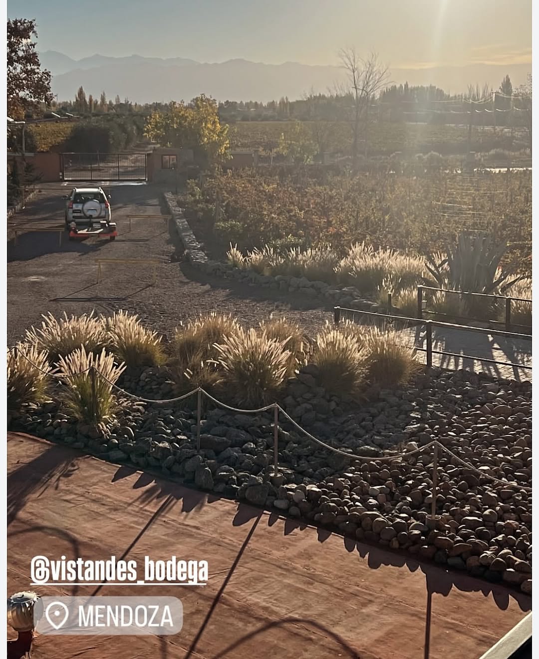 VISTANDES BODEGAS &VI¥EDOS - Instagram Post