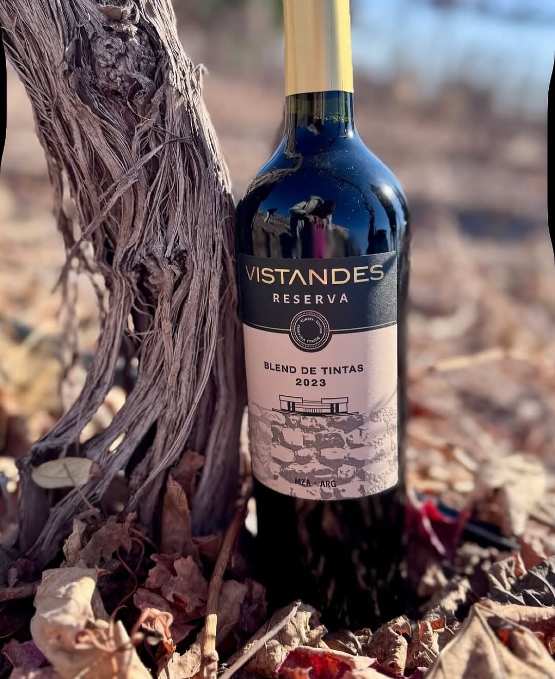 VISTANDES BODEGAS &VI¥EDOS - Instagram Post